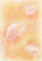 くらげハーバリウム2.png