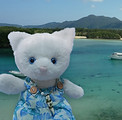 P1040517のコピー.jpg