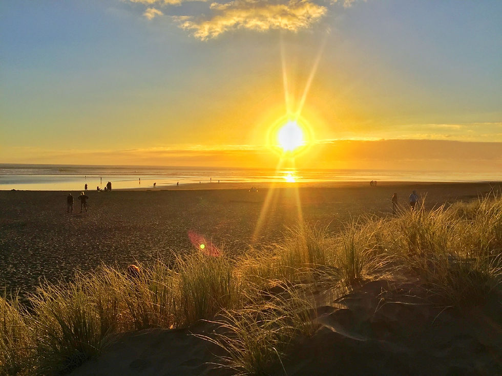Muriwai Beach