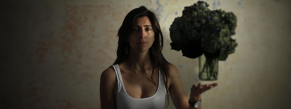 Artesa Cía