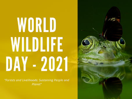 World Wildlife Day - March 3, 2021