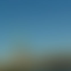 The Statue of Liberty