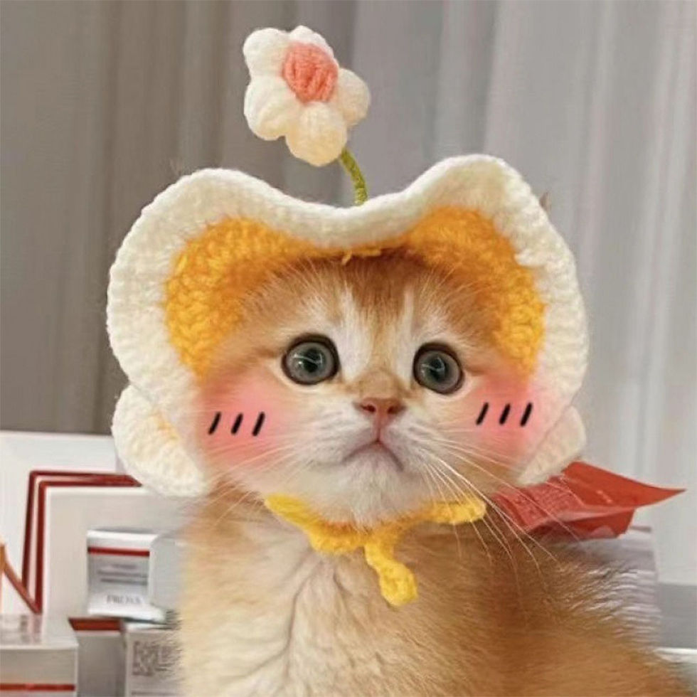 Miniatura: Gorro Tricotado Fofinho