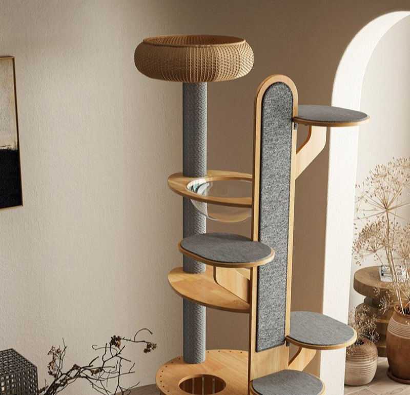 Miniatura: Estrutura de Escalada Paraíso