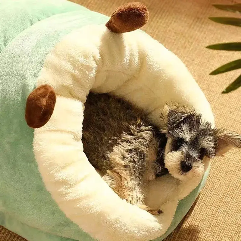 Miniatura: Abrigo Pet Fofinho