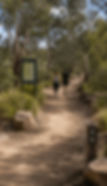 ChatGPT Image May 7, 2026, 11_43_40 AM (1)_edited_edited.jpg