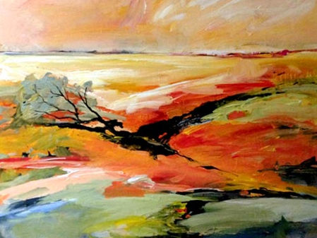 Sandhills to Spinifex