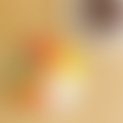 Spring Rolls with Beef Bulgogi [월남쌈]