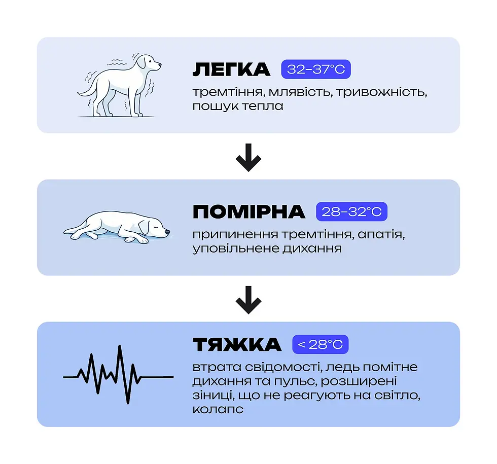 каскад гіпотермії, схема