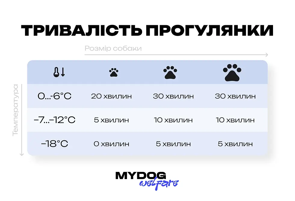 безпечна тривалість прогулянок взимку для собак