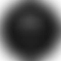 Wix Partner Webdesigner