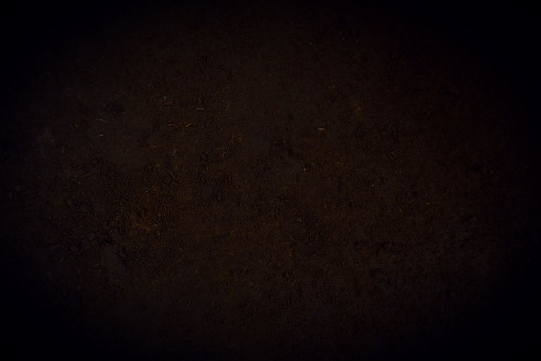 Soil_edited.jpg
