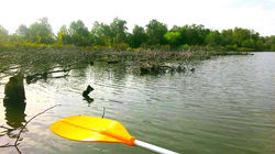 kayak4