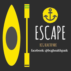 kayak banner 1