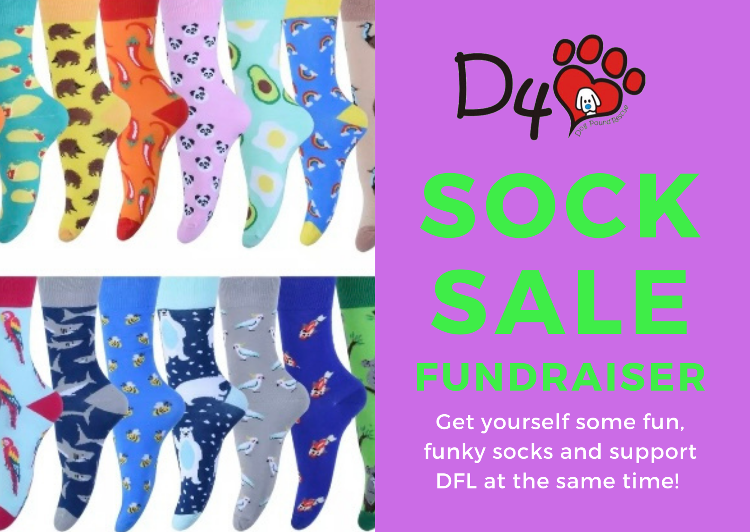 DFL’s Sock Sale Fundraiser DFL Dog Rescue
