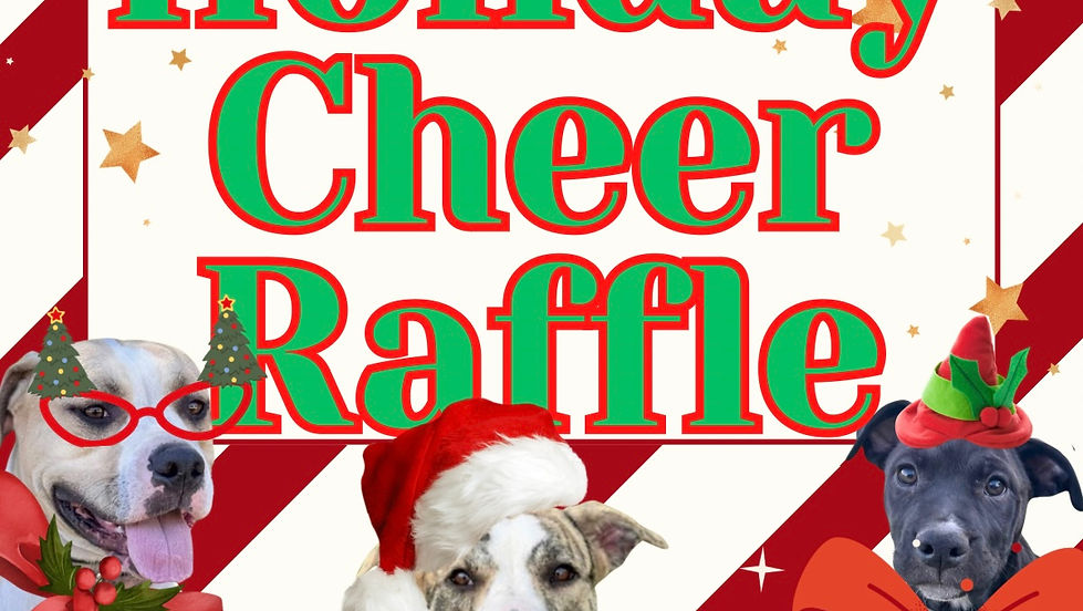 DFL'S HOLIDAY CHEER RAFFLE!