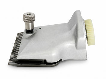 ce04f506-41ca-4ba1-9ce0-531e5e8da8a0_edited.jpg
