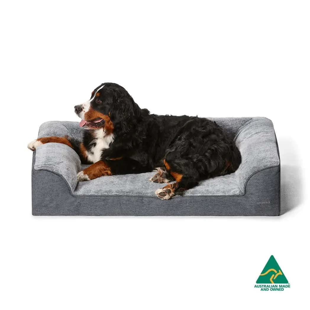 Australian Made Ortho Sofa Dog Bed