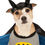 Thumbnail: Batman Deluxe Pet Costume