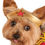 Thumbnail: Officially Licensed Wonder Woman Pet Costume
