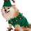 Thumbnail: Elf Pet Costume