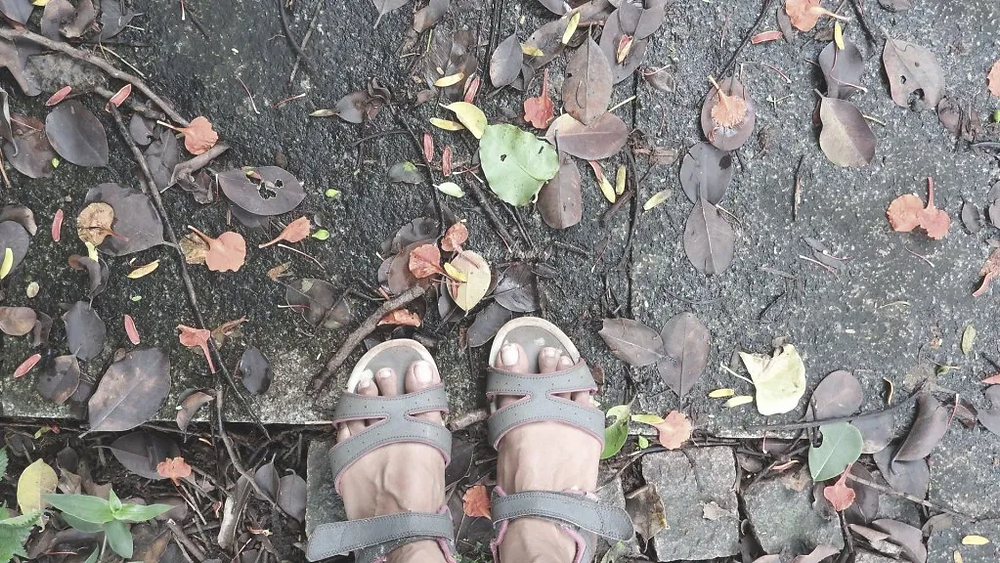 feet