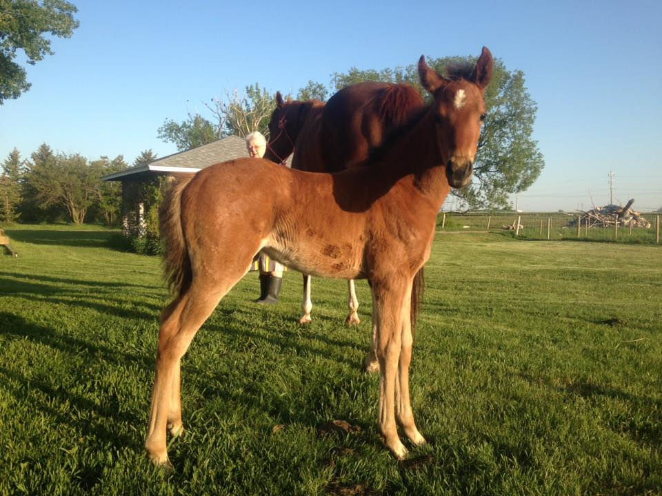 Correr el Viento SEA