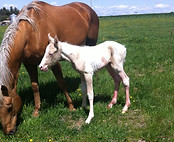 22338781_10154790600656109_8763878389689