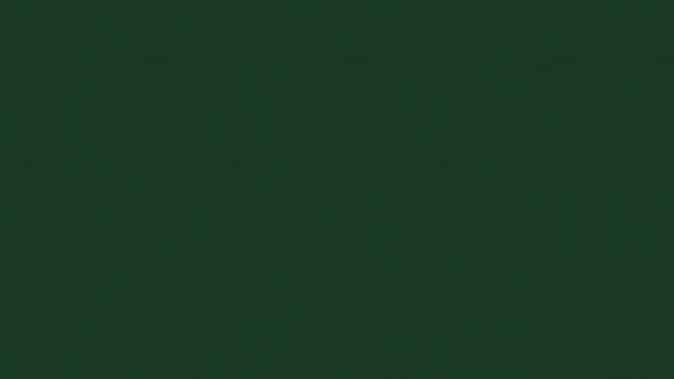 Artboard 6.2.png