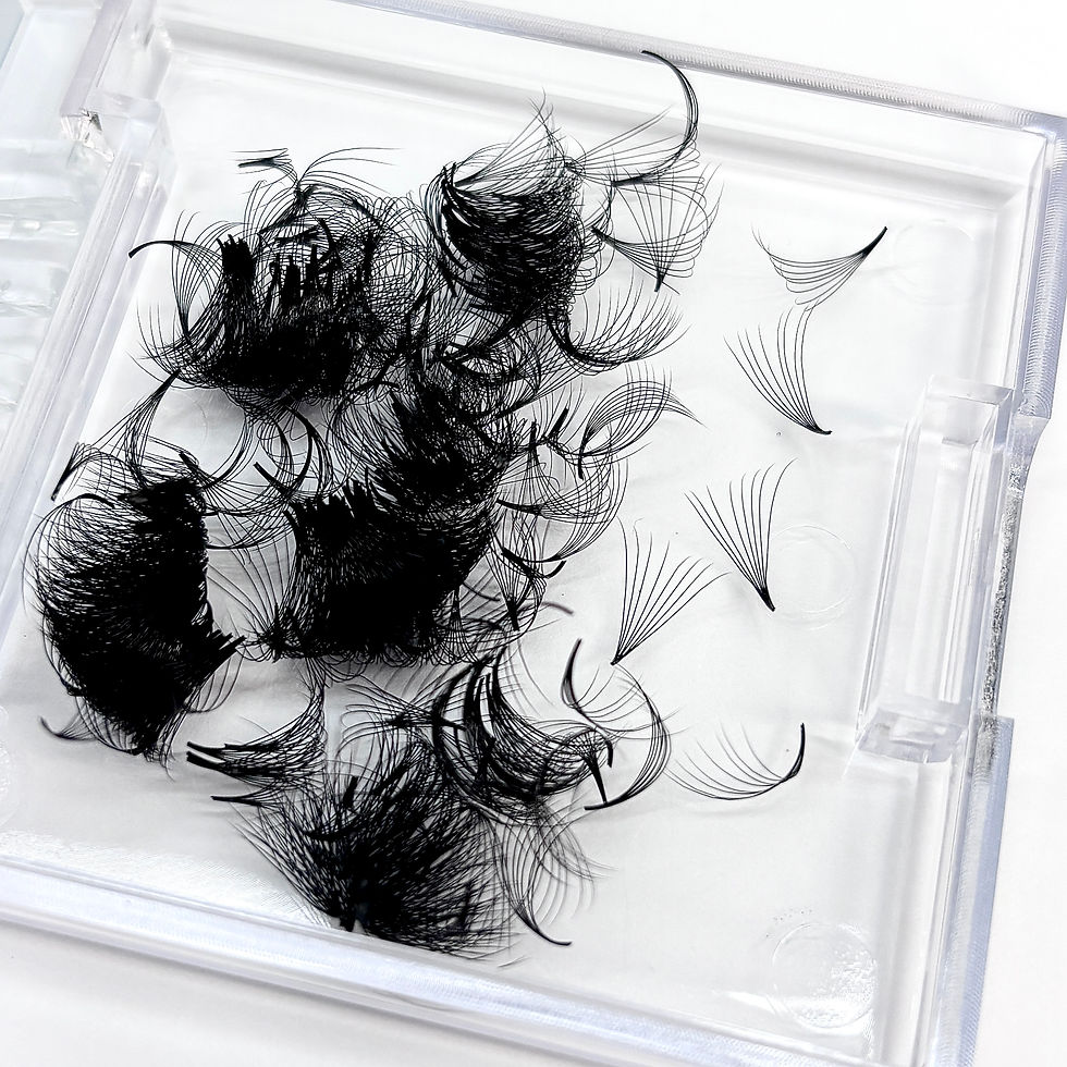 Bouquets Préfaits 10D One Size - Extensions de Cils Promade 0,05 mm
