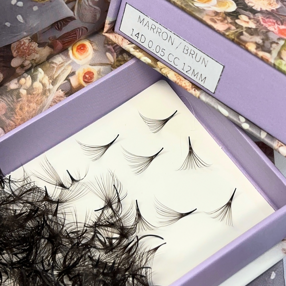 Miniature : MEGA VOLUME MARRON / BRUN 14D | BOUQUETS PREFAITS BRUN (500 FANS)