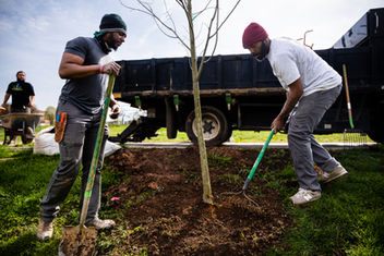 Baltimore Tree Trust Launches New Model for Community Forestry