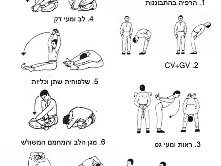 תרגילי  מרידיאנים  בסיסיים
