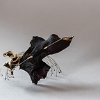 IMG_0193-WEB.jpg