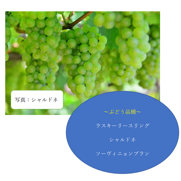 サムネイル： 天国のお花畑が似合うワイン