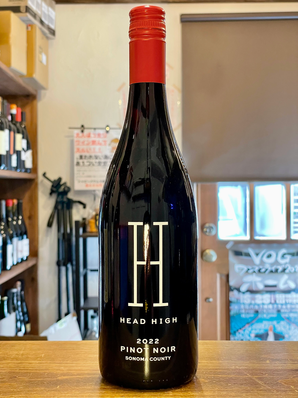 ドラクエ5のパパスのような安心感・・・