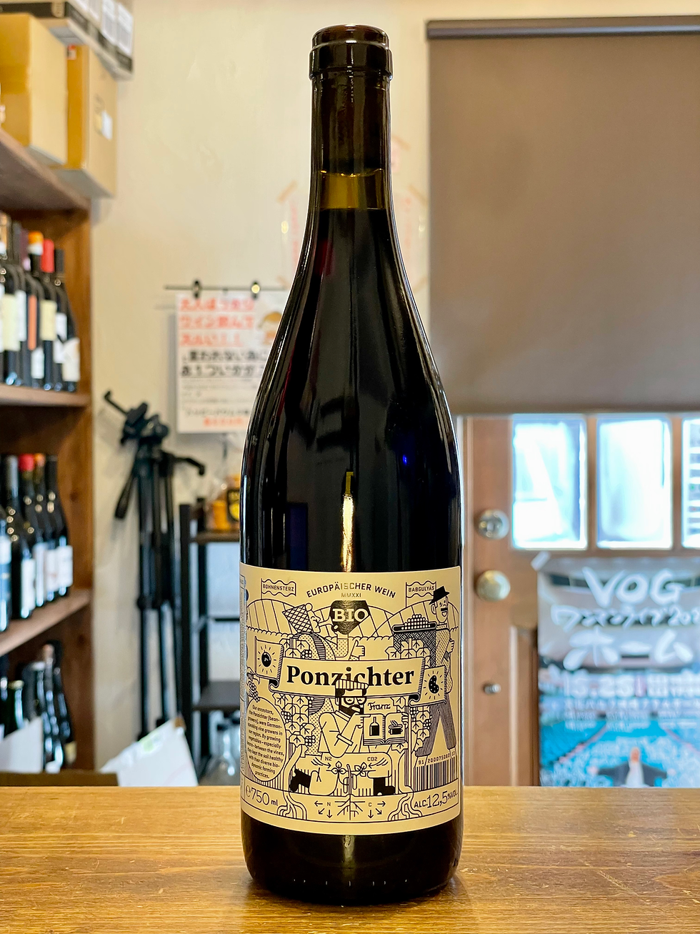 ヴェーニンガー ポンツィヒター