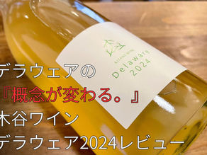 木谷ワイン「デラウェア 2024」をソムリエが徹底レビュー