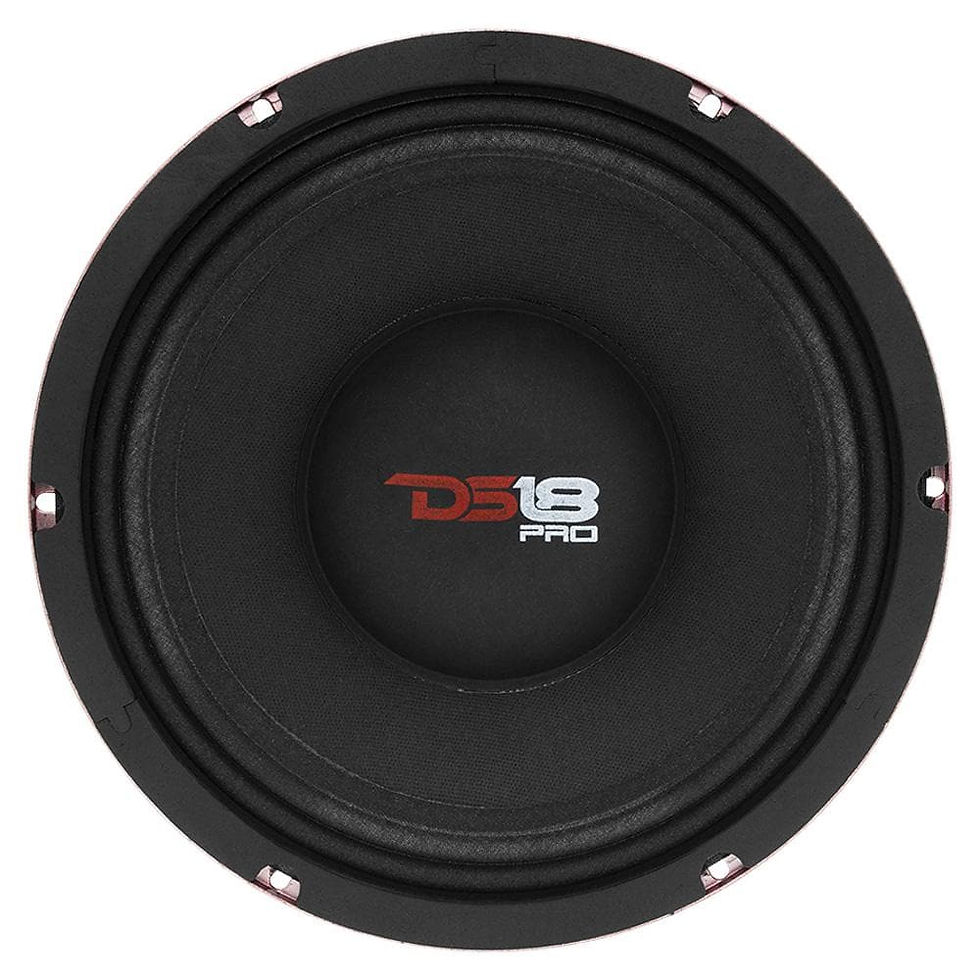 10" MID-BASS LOUDSPEAKER (800 WATTS 8-OHM)