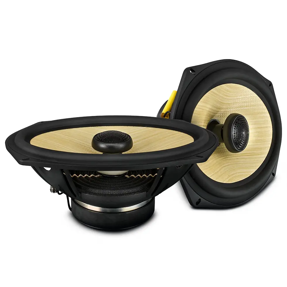 Thumbnail: COAXIAL SPEAKER WITH YELLOW STRAW + COMPOSITE FOAM CONE 4-OHM