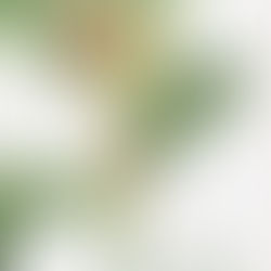 Presentación de «La muerte del shōgun», de Daniel Viscarra