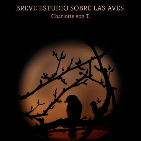 "Breve estudio sobre las aves" de Charlotte von T. El vuelo, la herida y la ilusión humana
