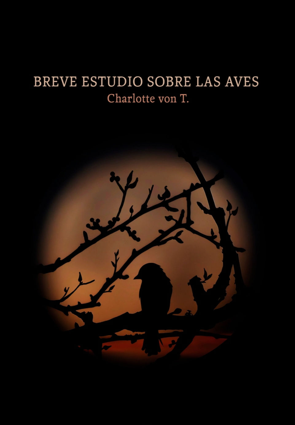 "Breve estudio sobre las aves" de Charlotte von T. El vuelo, la herida y la ilusión humana