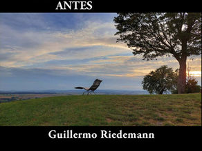 La poética de Guillermo Riedemann: una defensa de la vida.