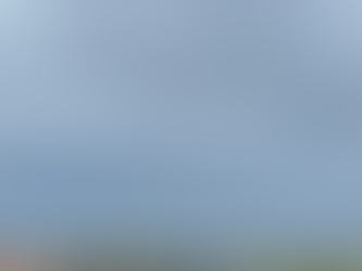 タイフーンスウェル