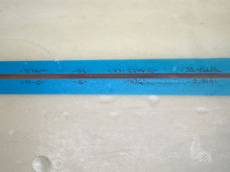 カモなのかも知れない