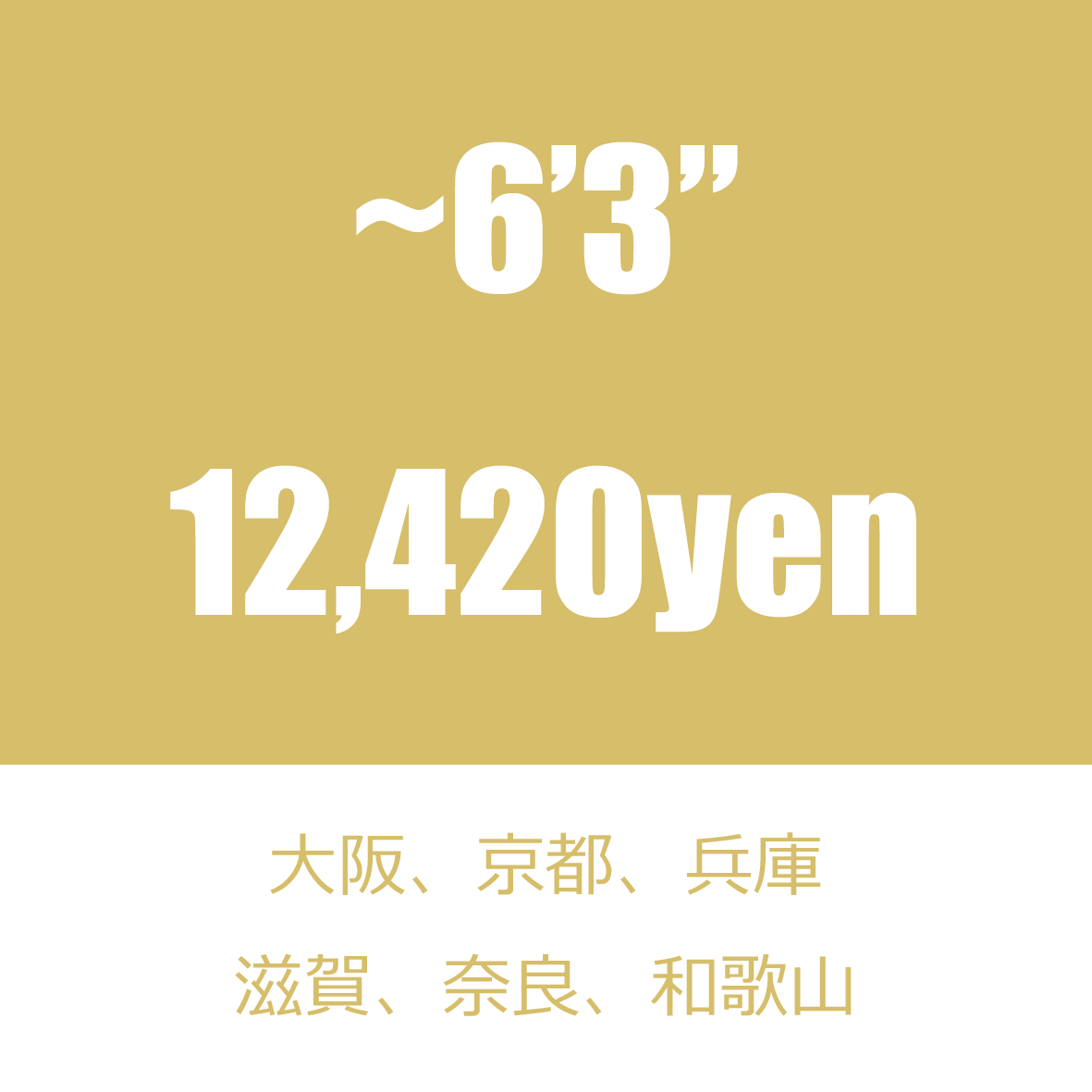 ~6'3" 送料 大阪/京都/兵庫/滋賀/奈良/和歌山