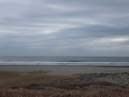 明日、宇都宮お休みです