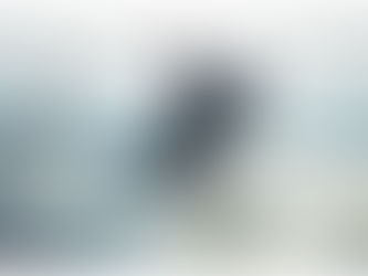 AIDENTIFY 2019 SS