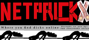 netpix logoalt.png